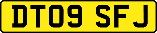 DT09SFJ