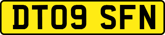 DT09SFN