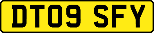 DT09SFY