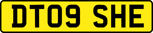 DT09SHE