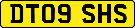 DT09SHS