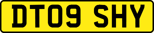 DT09SHY