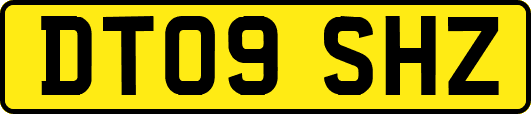 DT09SHZ