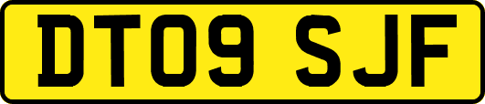 DT09SJF