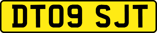 DT09SJT