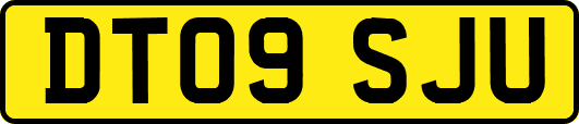 DT09SJU