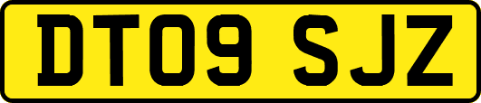 DT09SJZ