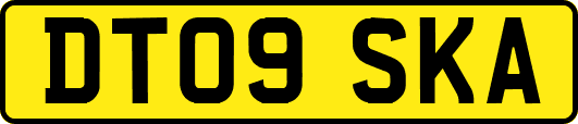 DT09SKA