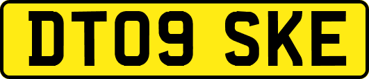 DT09SKE