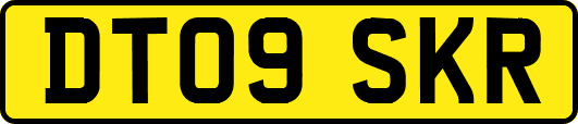 DT09SKR