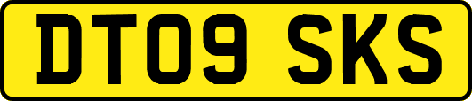 DT09SKS