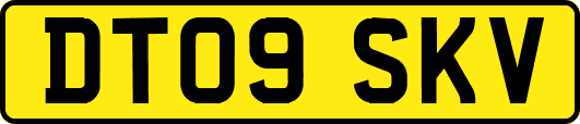 DT09SKV