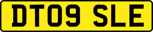 DT09SLE