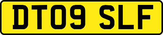 DT09SLF