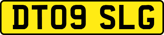 DT09SLG