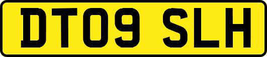 DT09SLH