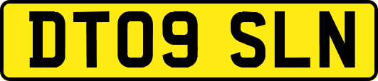 DT09SLN
