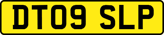 DT09SLP