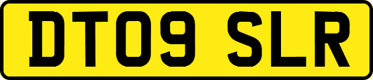 DT09SLR