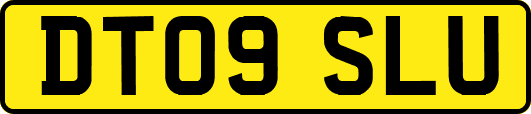 DT09SLU