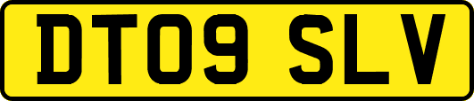 DT09SLV