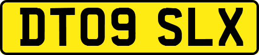 DT09SLX