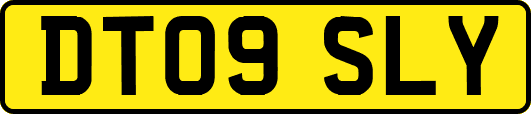 DT09SLY