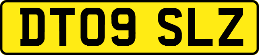 DT09SLZ