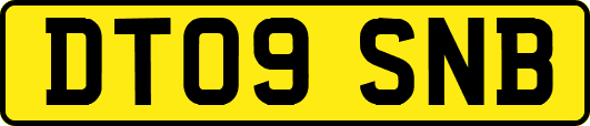 DT09SNB