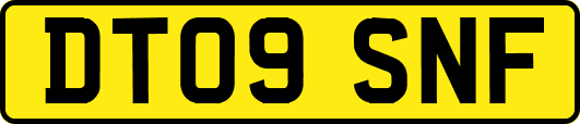 DT09SNF