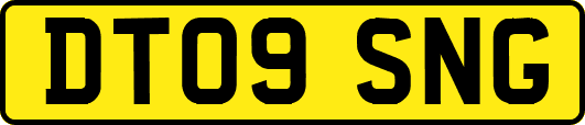 DT09SNG