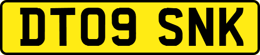 DT09SNK