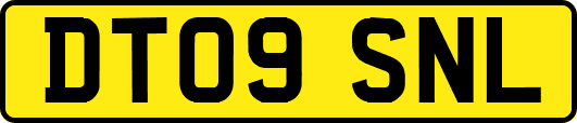 DT09SNL