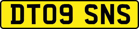 DT09SNS