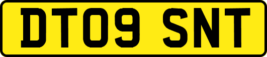 DT09SNT