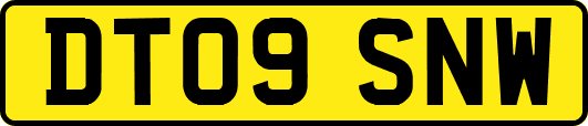 DT09SNW