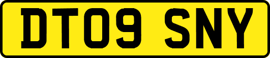 DT09SNY