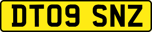 DT09SNZ