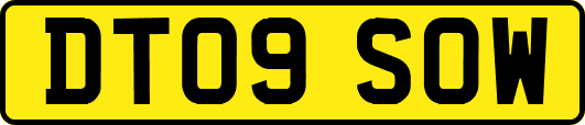 DT09SOW