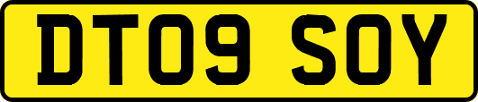 DT09SOY