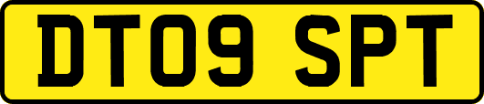 DT09SPT