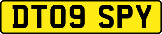 DT09SPY