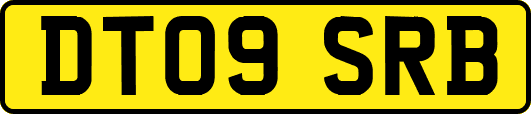DT09SRB