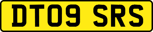 DT09SRS