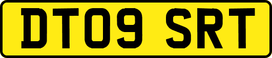 DT09SRT
