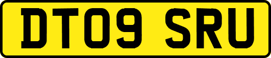 DT09SRU