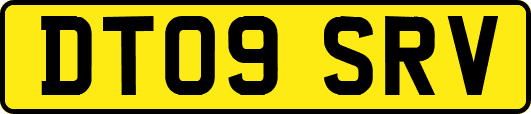 DT09SRV