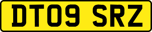 DT09SRZ