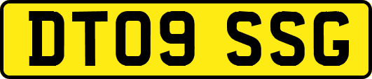 DT09SSG