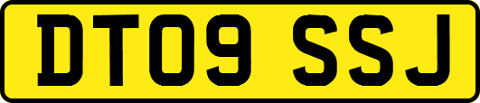 DT09SSJ